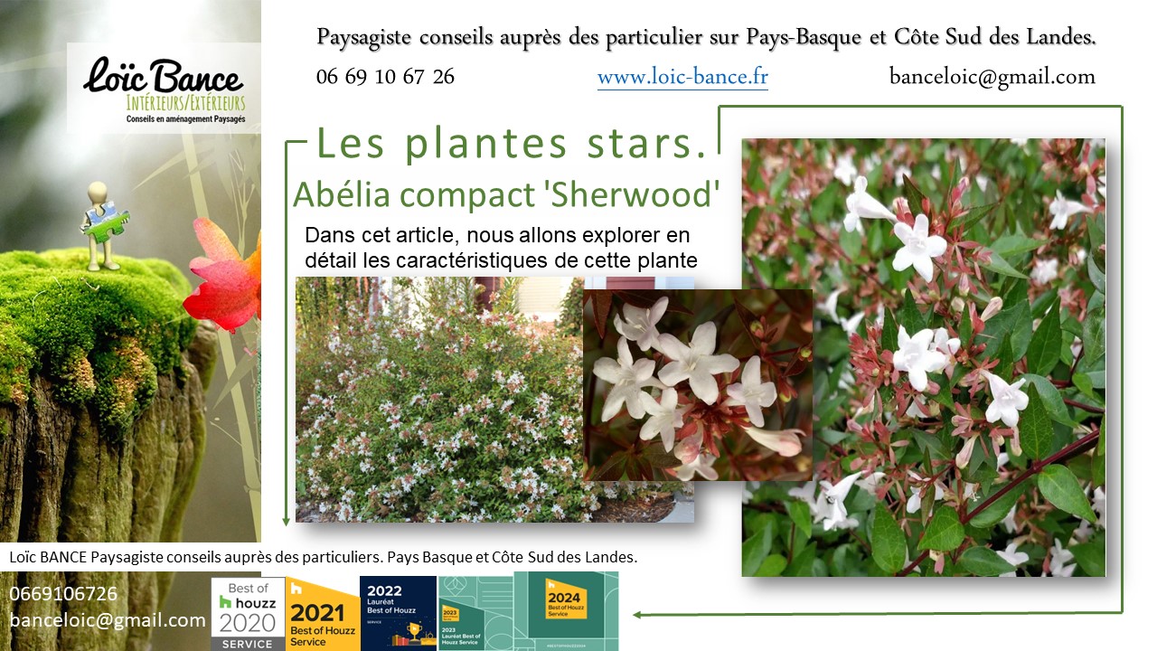 Paysagiste Pays Basque; Paysagiste Landes; Paysagiste conseil; Landes; Ahetze; Anglet; Arbonne; Arcangues; Bayonne; Biarritz; Capbreton; Guthary; 