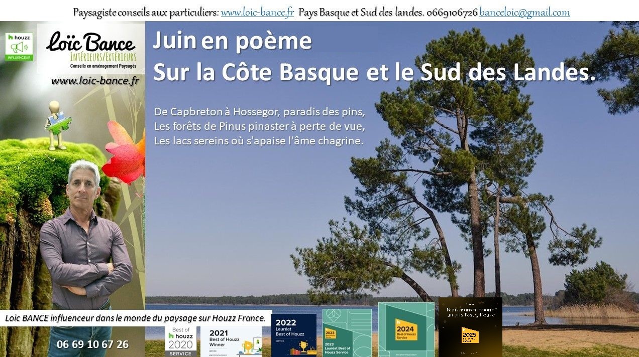 paysages; Landes; Pays Basque; Paysagiste; Paysagiste Landes; Paysagiste Pays Basque; Loc BANCE; Concepteur de jardins; Amnagements paysagers; Paysagiste conseils aux particuliers; Juin; Guthary; 